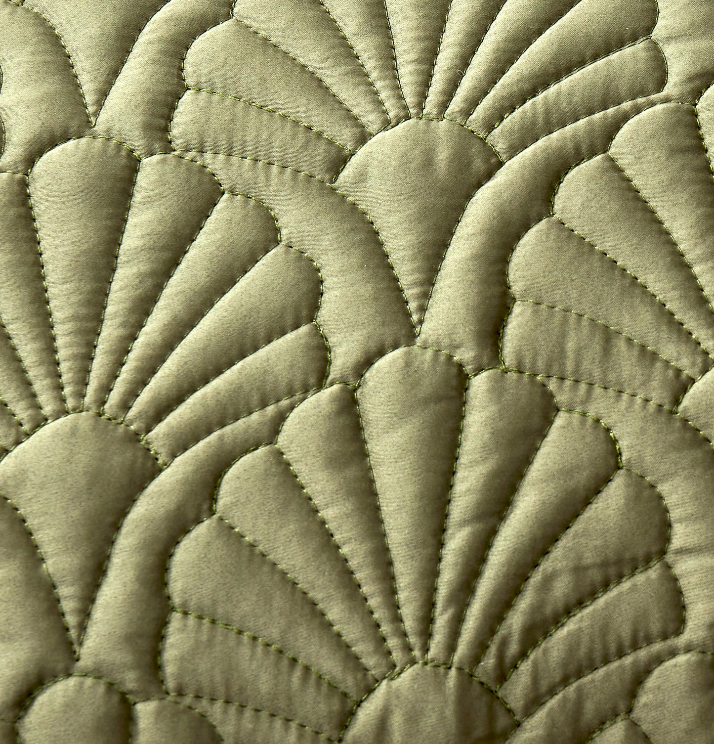 Ted Baker Deco Shells Quilt Set